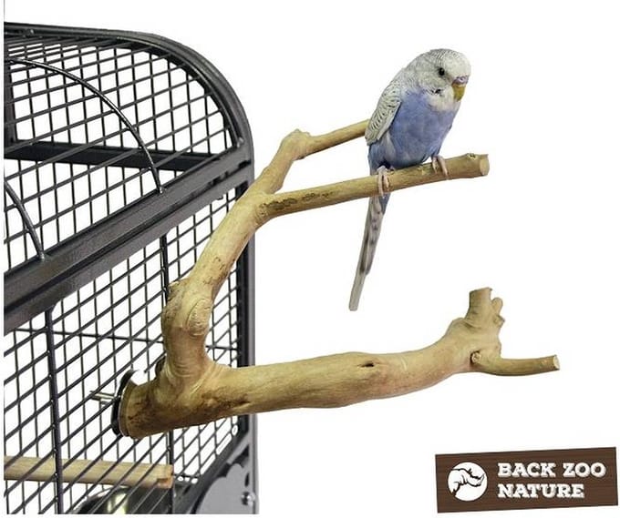 Back Zoo Nature Multi Perch Premium X-Small