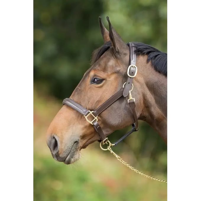Gevoerd lederen halster voor paarden HFI Raised