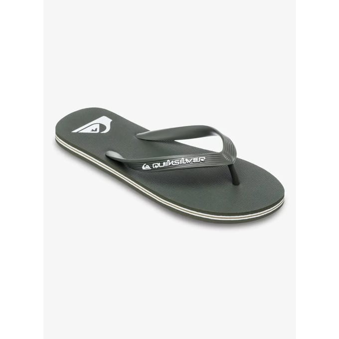 Quiksilver Molokai Core Slippers Groen EU 47 Man