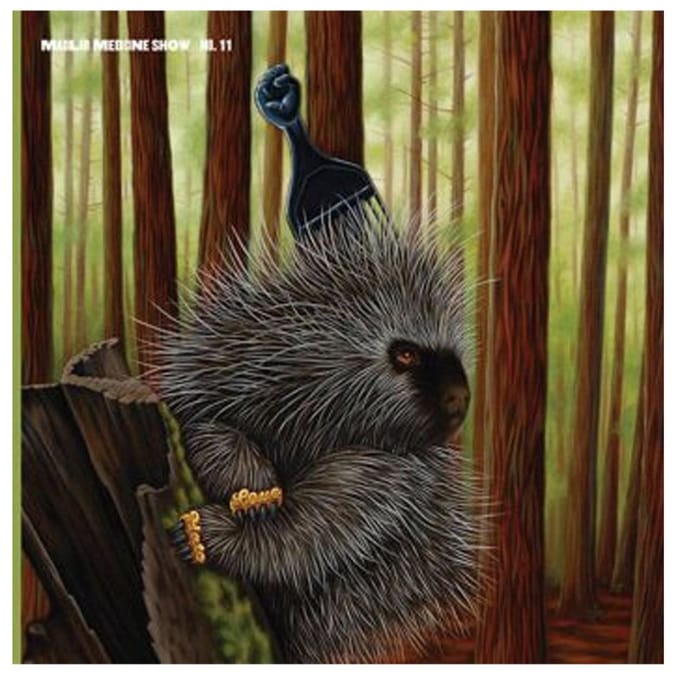 Low Budget High Fi Music - Madlib