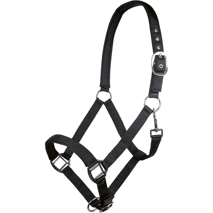 Nylon halster voor paard met zachte voering HKM Charming