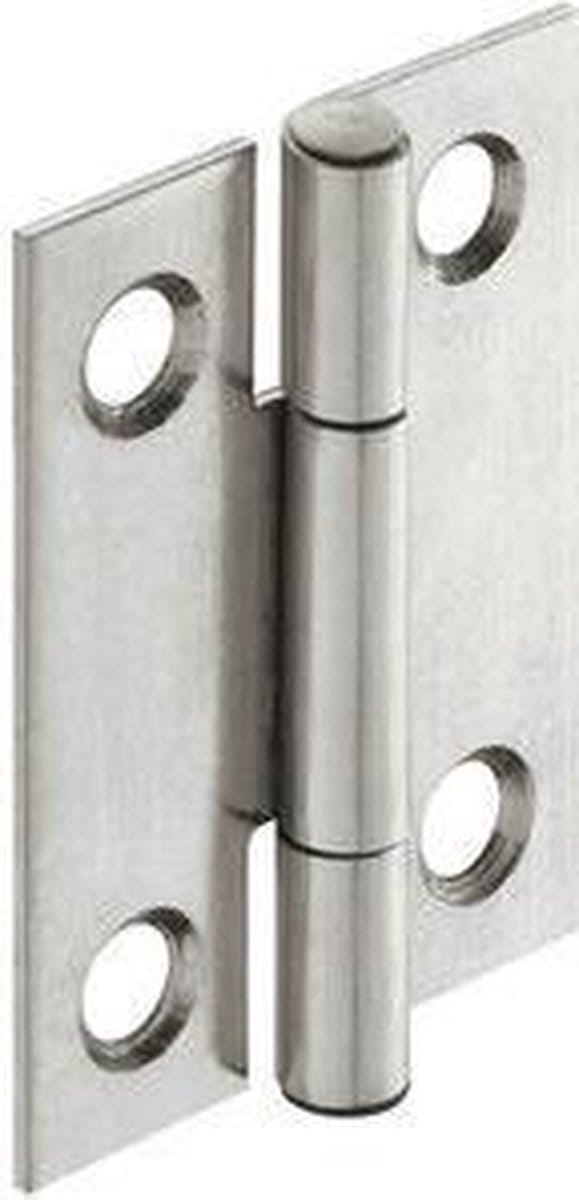 RVS Bladscharnier 50x40mm