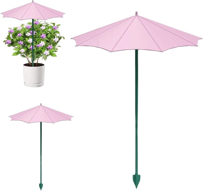 Kleine parasols - Bescherming planten - Zon weren - Set van drie - 265 cm - Wit