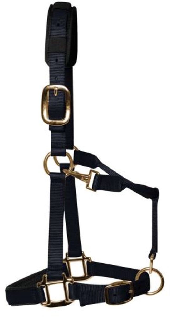 KM Elite - Luxe Gevoerde Halster – Zwart - Medium - Cob