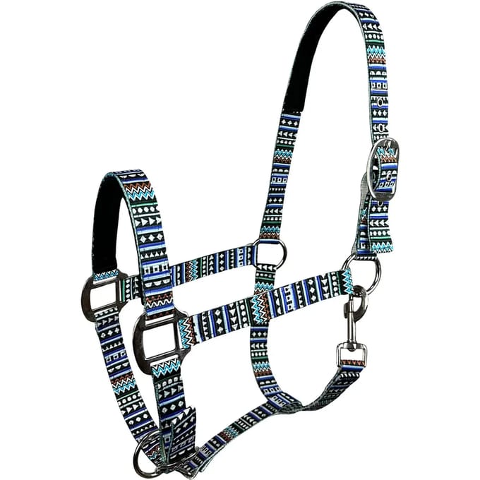 Halster voor paarden York Texas