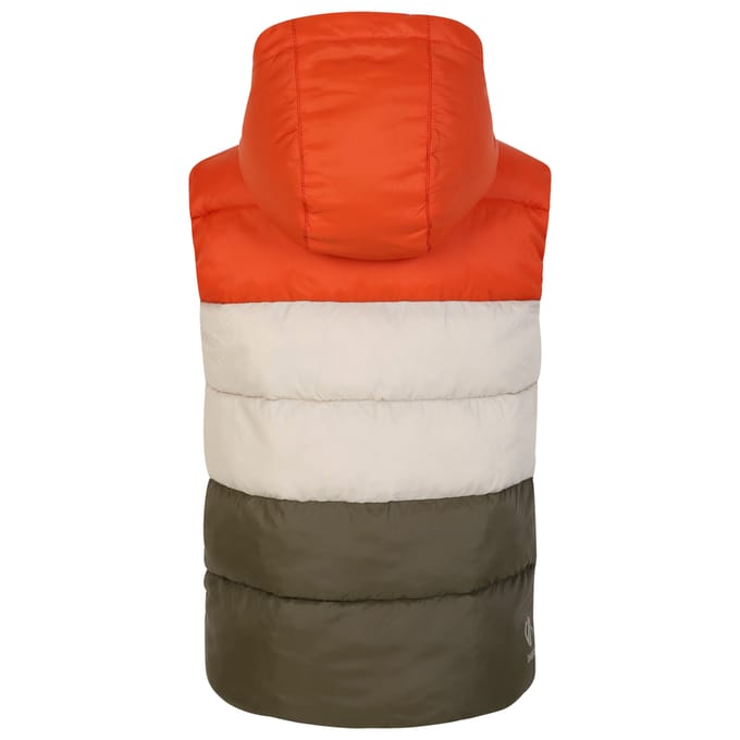 Regatta Kinder/Kinder Jolly Gewatteerd Gilet (Rooibosthee/Lichtgroen)