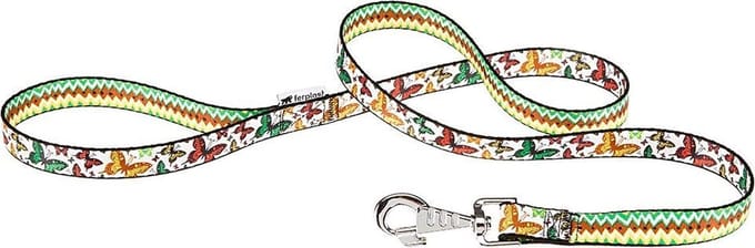 Arlecchino g25/120 laisse