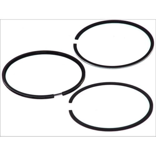 Goetze Engine Zuigerveren set GOETZE 08-318700-10