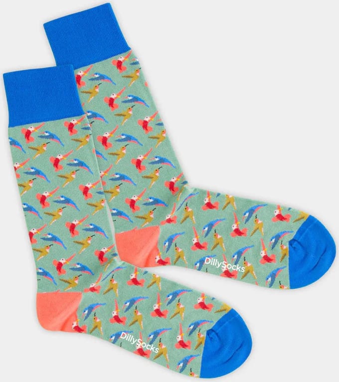 DillySocks Hummingbird Sock - maat 36-40