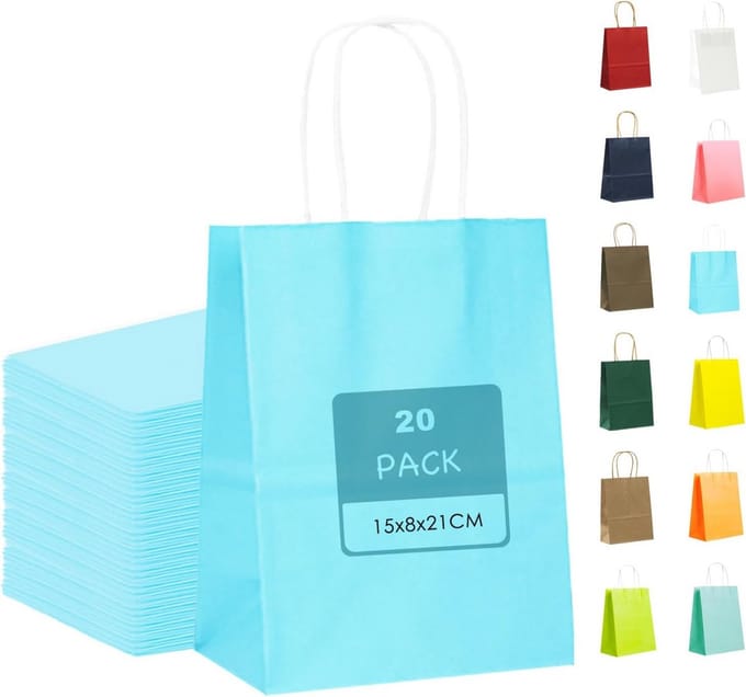 Solidchoice - 20 Stuks Kraft Papier Geschenkzakken met Handvat