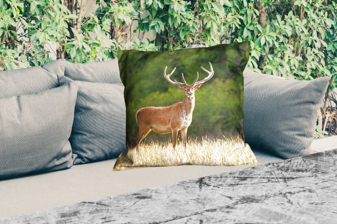 Sierkussen Buiten - Hert - Gewei - Gras - Natuur - Dieren - Groen - 60x60 cm - Weerbestendig
