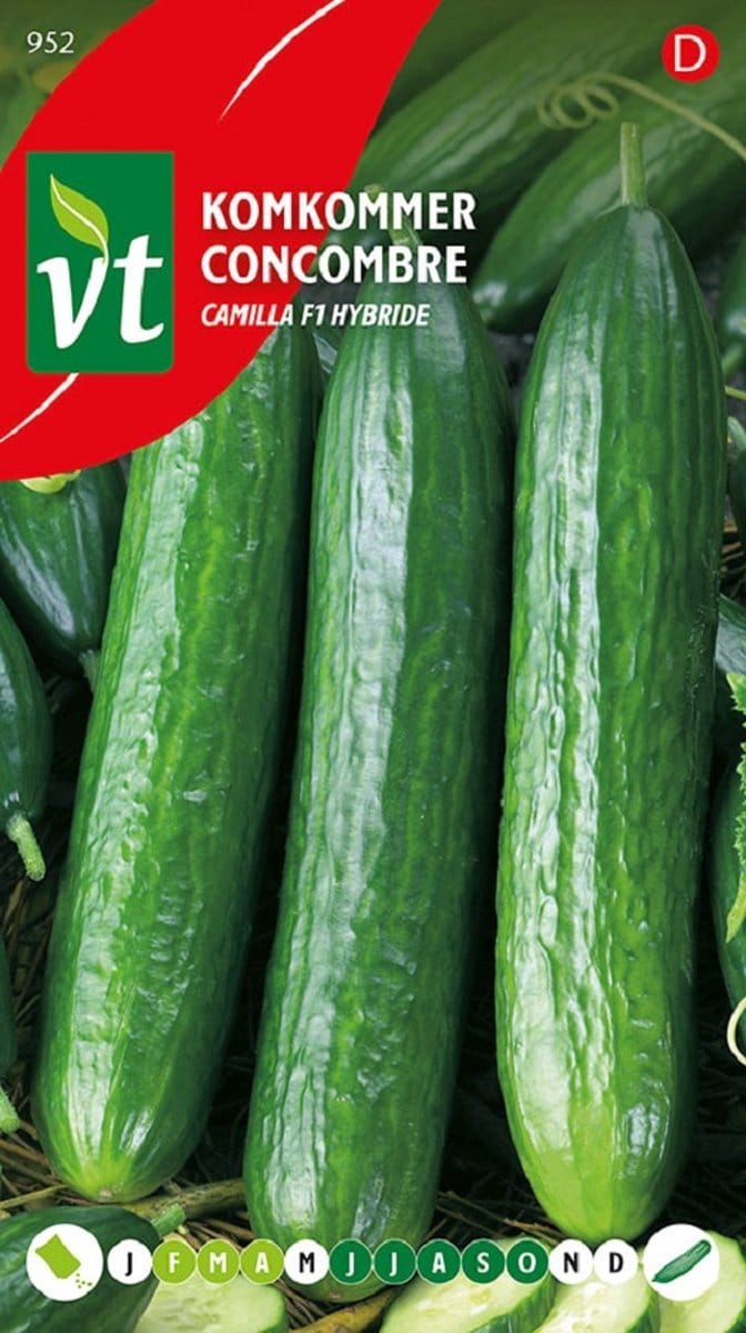 Komkommer Louisa F1 Hybrid - Ca. 5 zaden