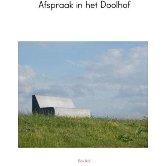 Afspraak In Het Doolhof - Bas Mol