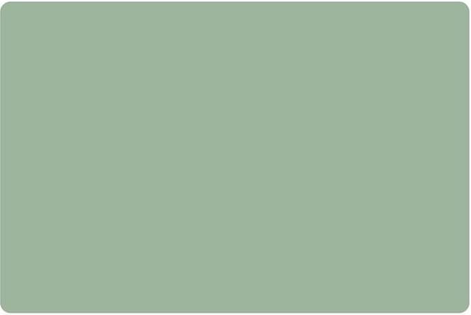 Placemats Set van 4 – Uni Mintgroen – 30x45 cm – Antislip – Afwasbaar Kunststof – Onderlegger & Tafeldecoratie