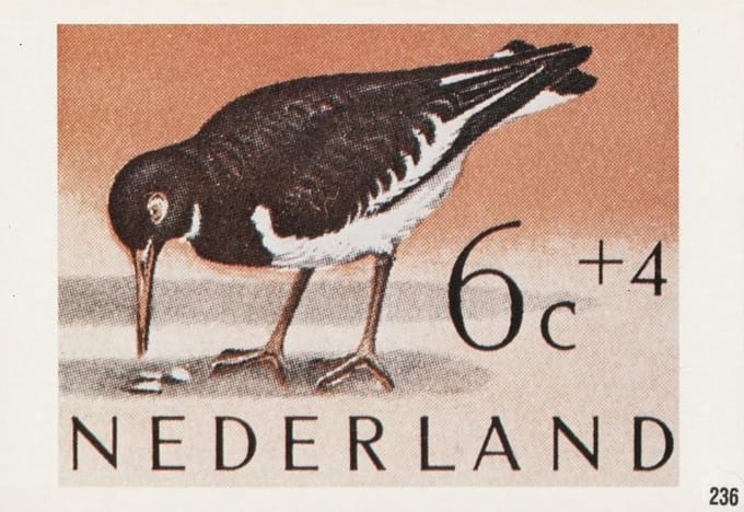 Briefkaart met afbeelding Scholekster postzegel
