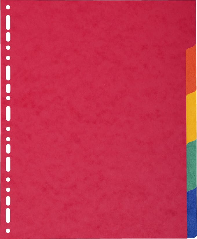 Exacompta 2405E 25x INTERCAL.CARTE LUSTR