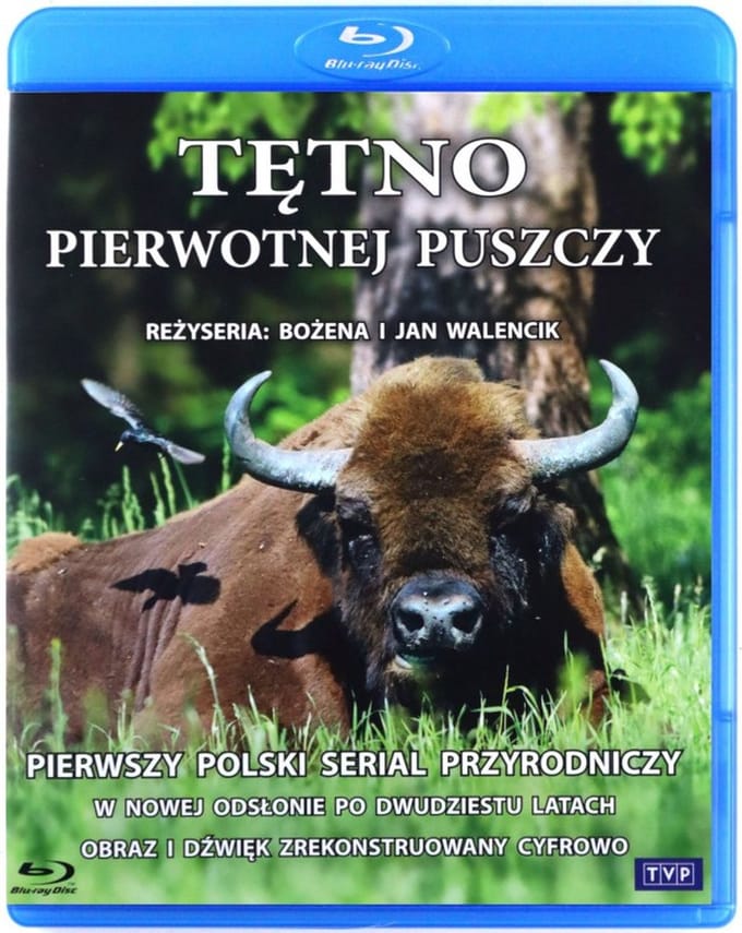 Tętno pierwotnej puszczy [Blu-Ray]