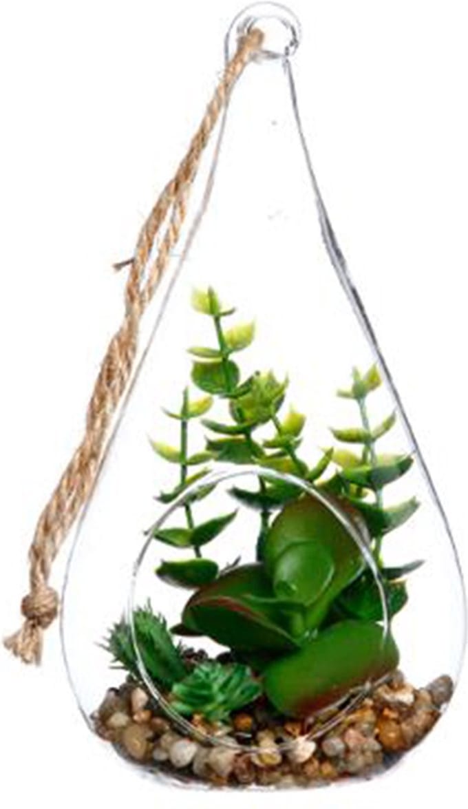 Glazen terrarium, druppelvorm H19.5cm - Overig - Succulente - SILUMEN