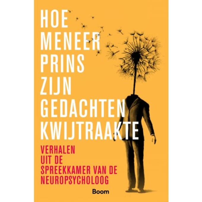 Hoe Meneer Prins Zijn Gedachten Kwijtraakte - Helen Anema