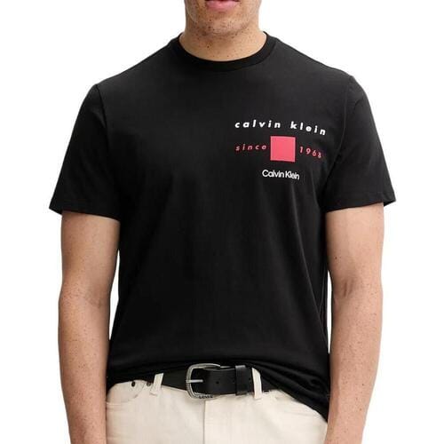 T-shirt Korte Mouw Calvin Klein Jeans Ckny