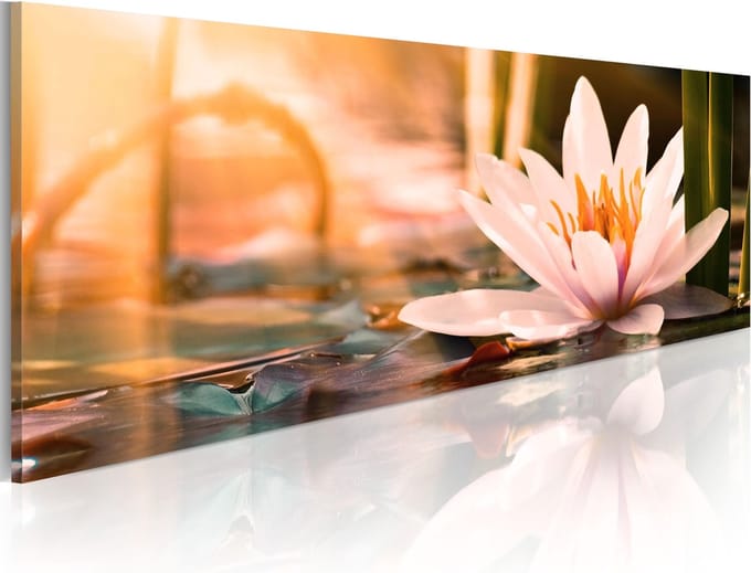 Schilderijen Op Canvas - Schilderij - Beautiful Lotus 135x45 - Artgeist Schilderij