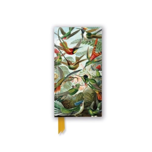 Ernst Haeckel: Hummingbirds (Foiled Slimline Journal) - Flame Tree Slimline Journals - Flame Tree Studio
