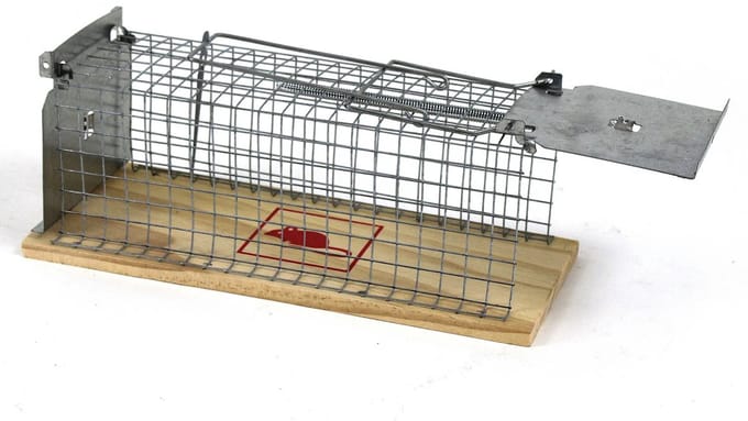 Ratten vangkooi met houten bodem