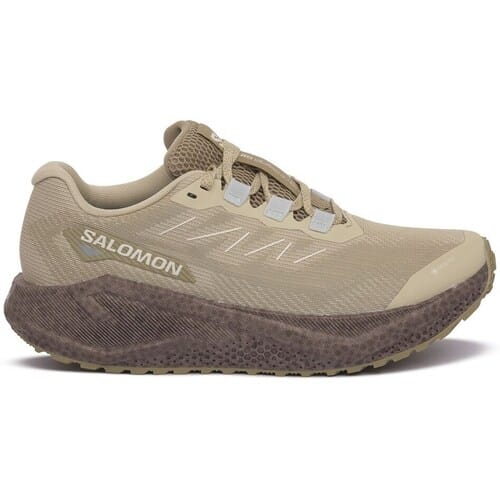 Sportieve Salomon AERO BLAZE 3 GRVL GTX 38 Dames