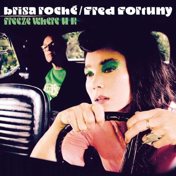 Brisa Roché & Frédéric Fortuny - Freeze Where U R (CD)