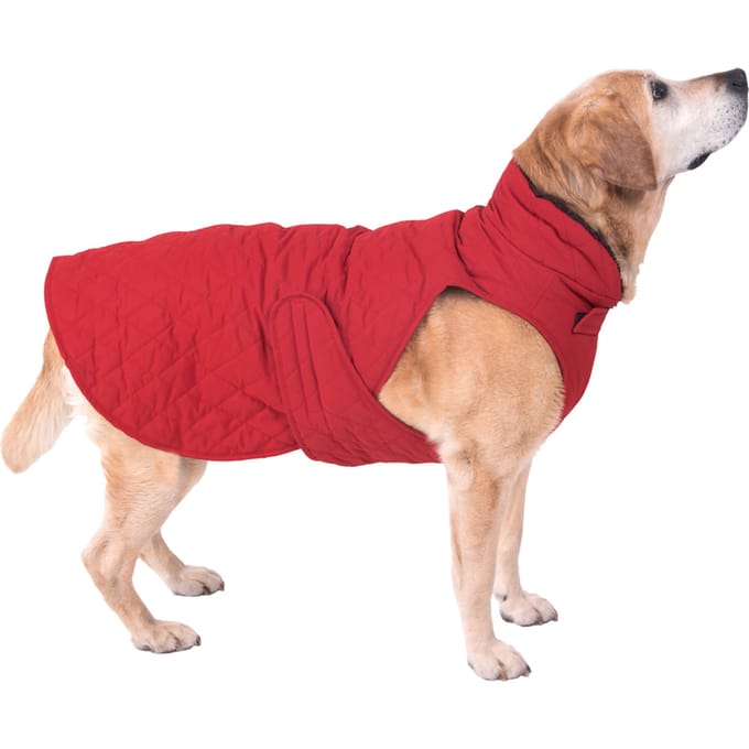 70 cm Ruglengte Hondenjas Gewatteerd Rood