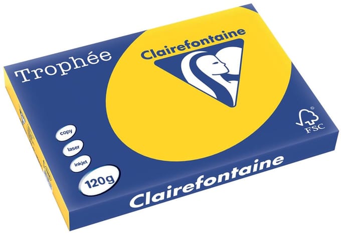 Clairefontaine Trophée Pastel A3 goudgeel 120 g 250 vel