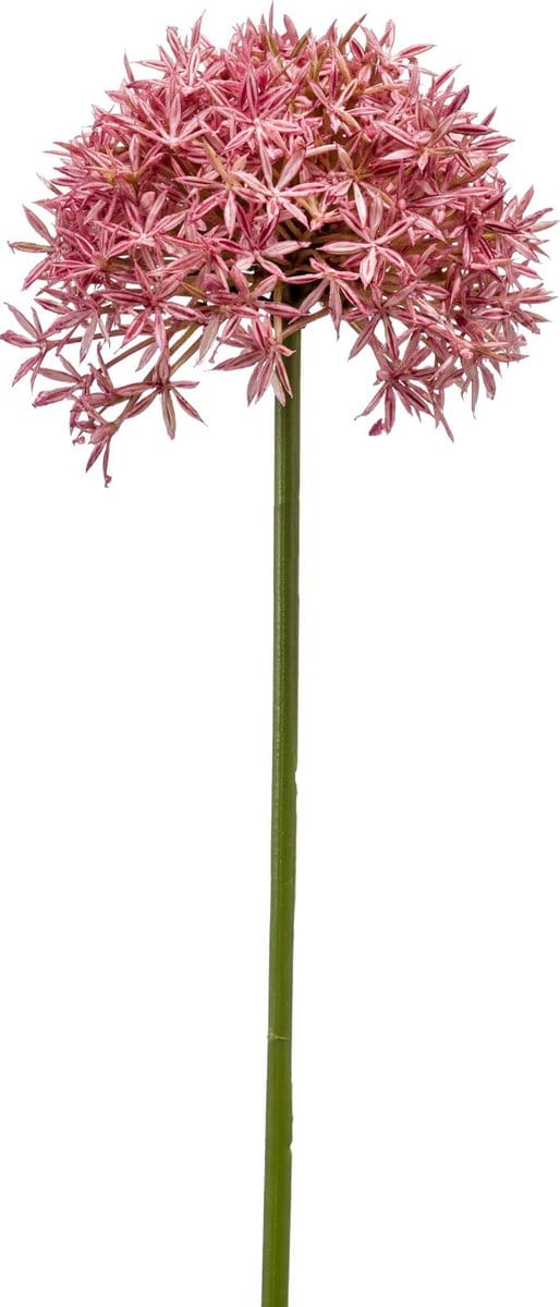 Emerald - Kunstbloem Allium 62cm roze - Kunstplant voor binnen