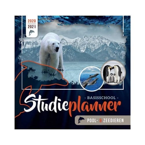 Studieplanner / 2020-2021