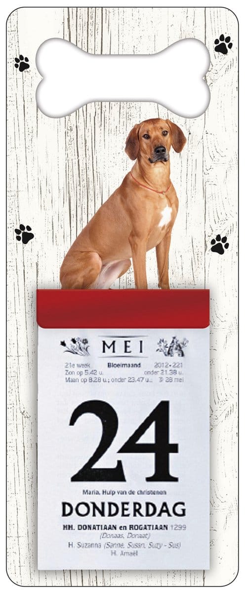 Scheurkalender 2027 Hond: Rhodesian Ridgeback