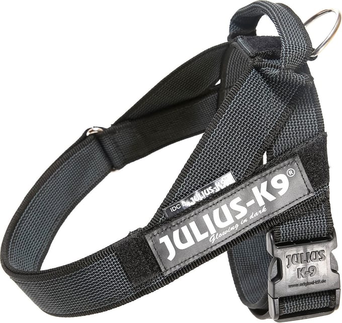 Julius-K9 IDC®Color&Gray® riemtuig, L - maat 1, zwart