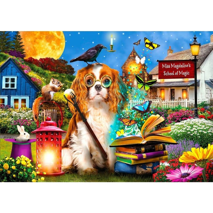 Enjoy Puzzel 1000 Stukken - Magische School