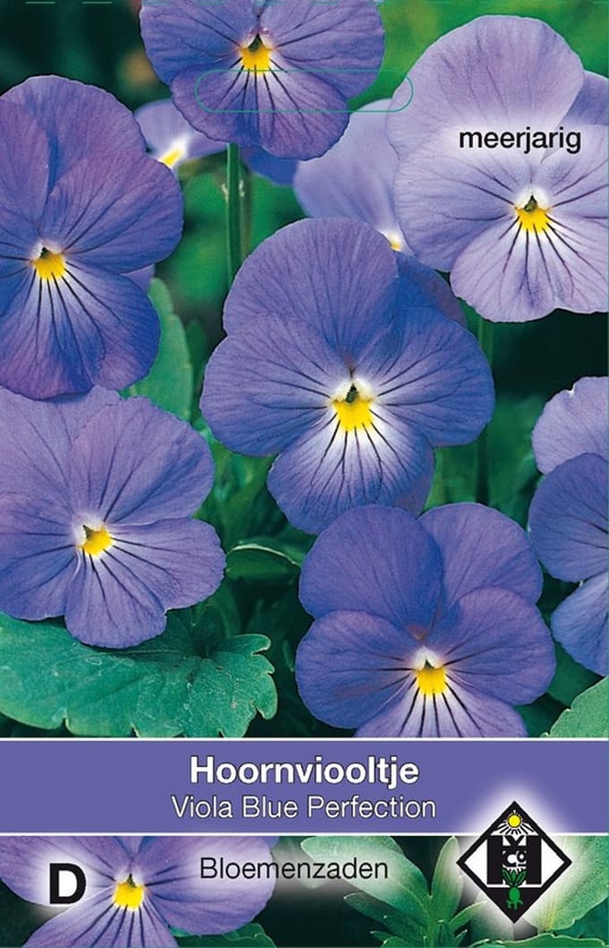 2 stuks Van Hemert & Co Viola cornuta Blue PerfectionVan Hemert & Co