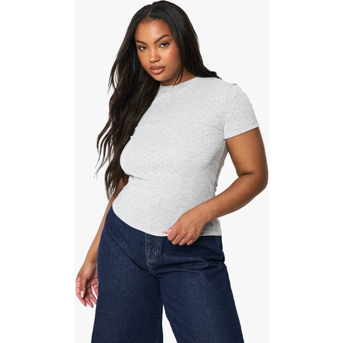boohoo Dames PLUS POINTELLE KORTE MOUWEN AANSLUITENDE TOP | Asgrijs | Maat: 54