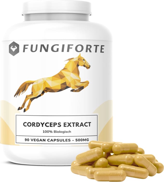 FungiForte - Cordyceps Extract 500mg - 90 stuks - Non-GMO - Lab Tested - Cordyceps Capsules - Paddenstoel Supplement