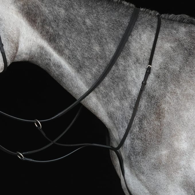 Paardenrennen martingaal Weatherbeeta Collegiate IV