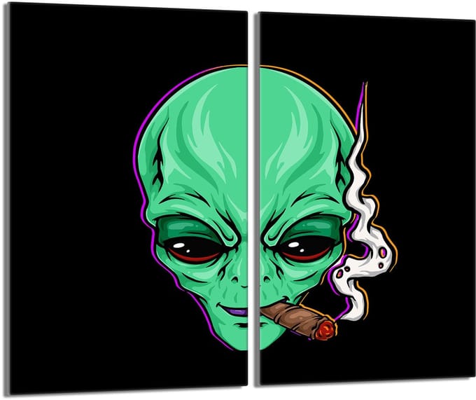 TMK ArtDeko - UFO Serie - Glazen Beschermer - 2x30x52 cm - Multitoepassing