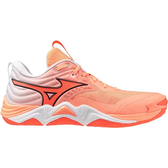 Indoor schoenen Mizuno Wave Momentum Elite
