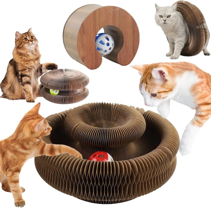 2-in-1 Katten Speelgoed, Zelfbezigheid voor Katten en Kittens, Interactief en Stimulerend Speelgoed