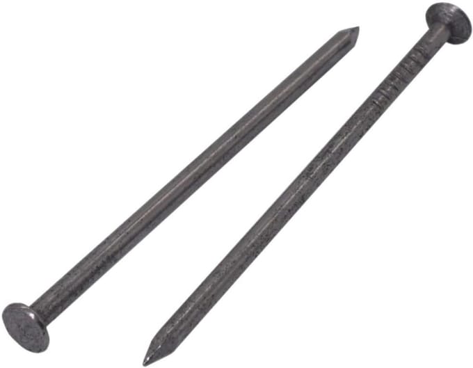 300x Constructie Nagels Staal 2,5 x 60 mm - Platte Kop - Multifunctioneel voor Houtbouw