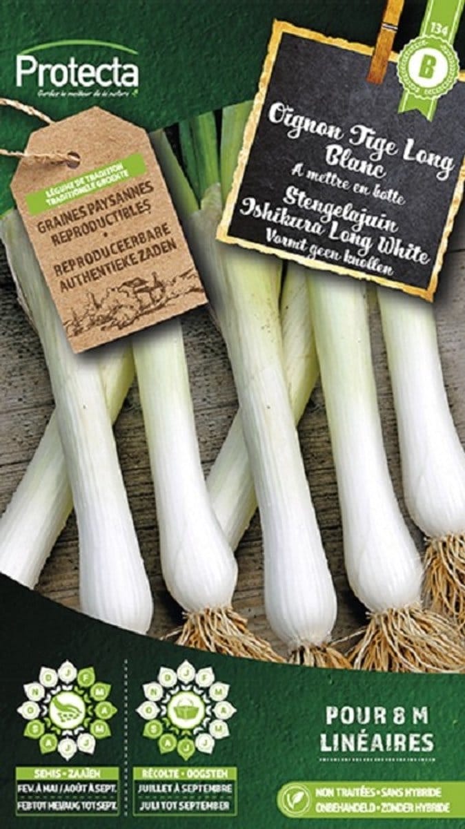 Protecta Groente zaden: Stengelajuin Ishikura Long White