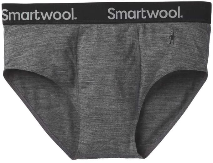 Smartwool Merino Sport 150 Brief Slips Grijs XL Man