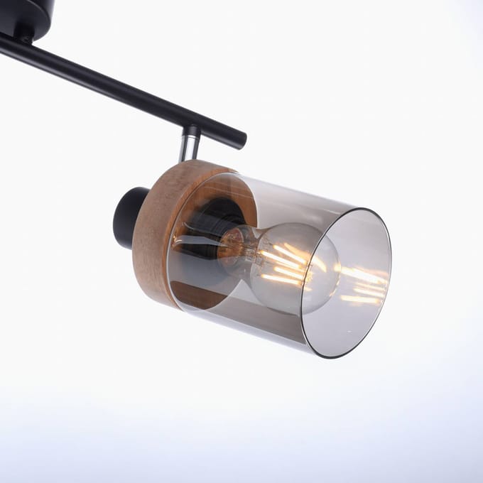 JUST LIGHT. GmbH Pasqual plafondlamp, 2-lamps
