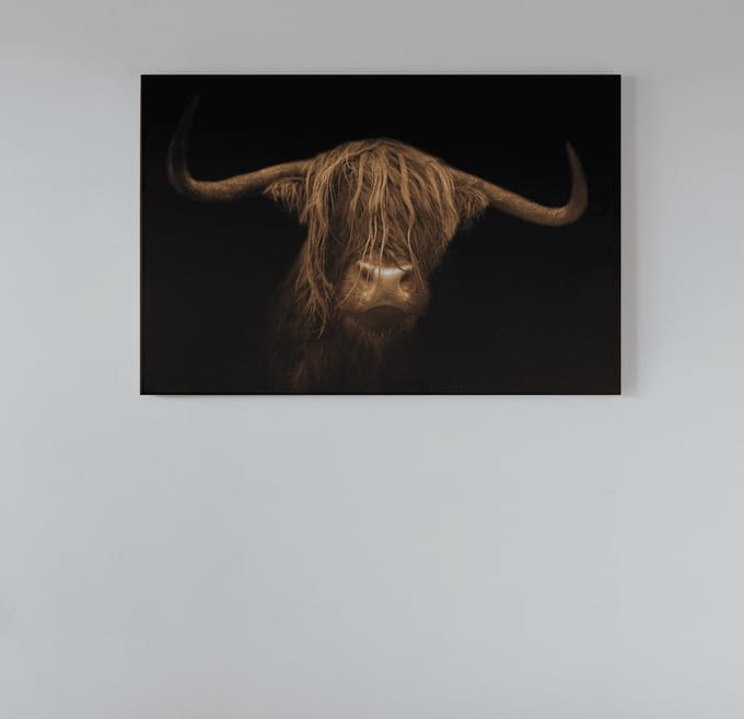 Canvas Schilderij - Hooglander - Schotse - Wanddecoratie - 120x80x2 cm