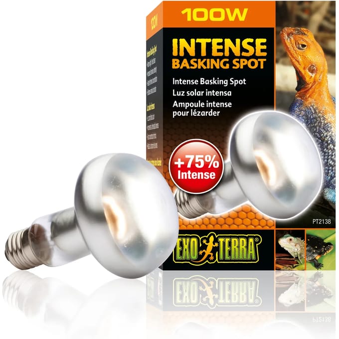 Terrarium lamp Exo Terra Intense Basking Spot 100W