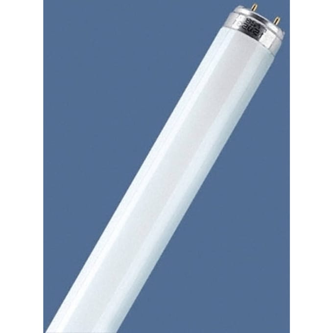 OSRAM fluorescentielamp LUMILUX, G13 T8, 150 cm 6.500 K 58 W